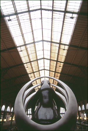 Gare du Nord, Paris